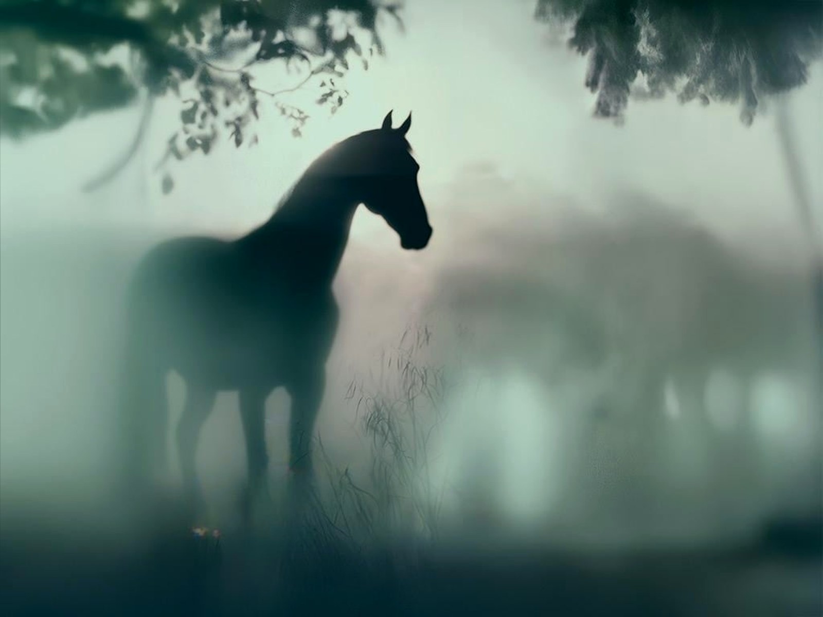 Savras restaurant — horse artwork background