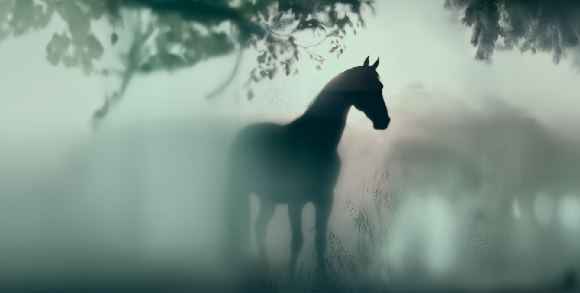 Первый слайд