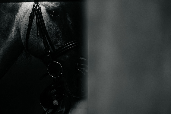 Ресторан - 4